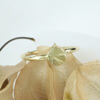 gouden ring zon